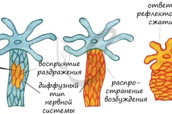 Kra9.cc